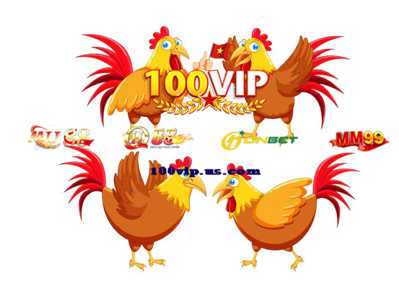 Giới Thiệu Chuyên Mục Đá Gà 100Vip