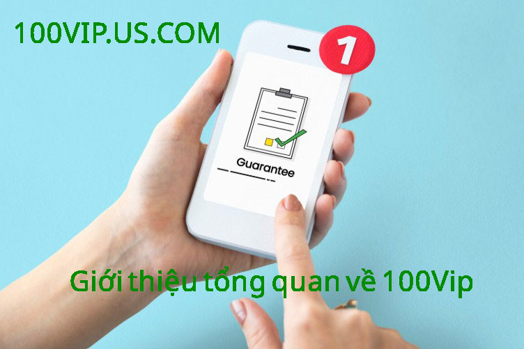 Giới thiệu tổng quan về 100Vip