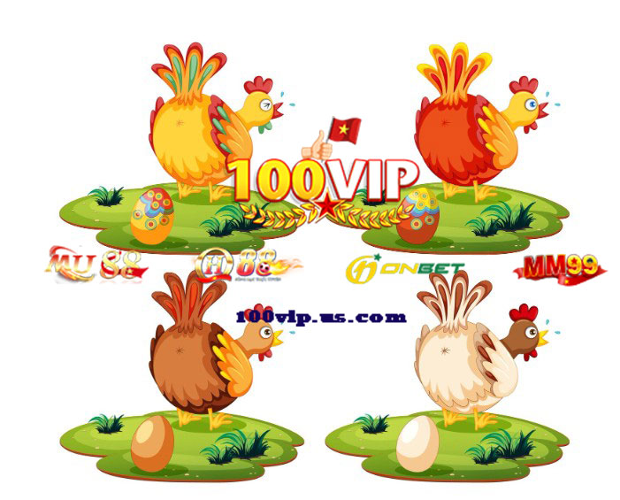 Tầm Nhìn & Định Hướng Phát Triển